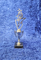 Silver star top cup Award