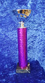 silver purple sale bowl trophy