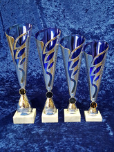 TW silver/blue cone award