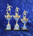 Sale silver footballer awards