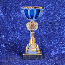 sale silver blue bowl award