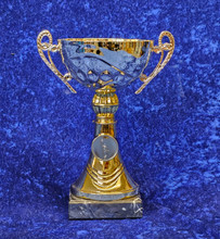 Gold handled bowl large