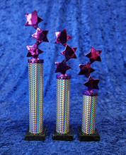 Purple star awards 1st - 3rd