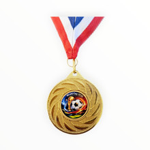 World cup medal 2026