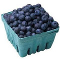 Blueberries 