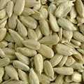 Sunflower seeds