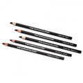 Prismacolor Art Pencils 12Ct Tin , Apple Green, Black, Canary Yellow, Crimson Red, Dark Brown, Grass Green, Orange, Sienna Brown, True Blue, Violet, Violet Blue, White - Kingpen