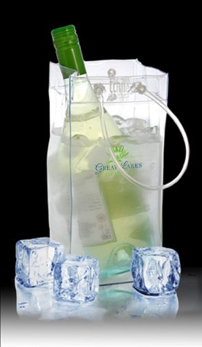 great-lakes-tchillbag-clear-mock-up-v4.jpg
