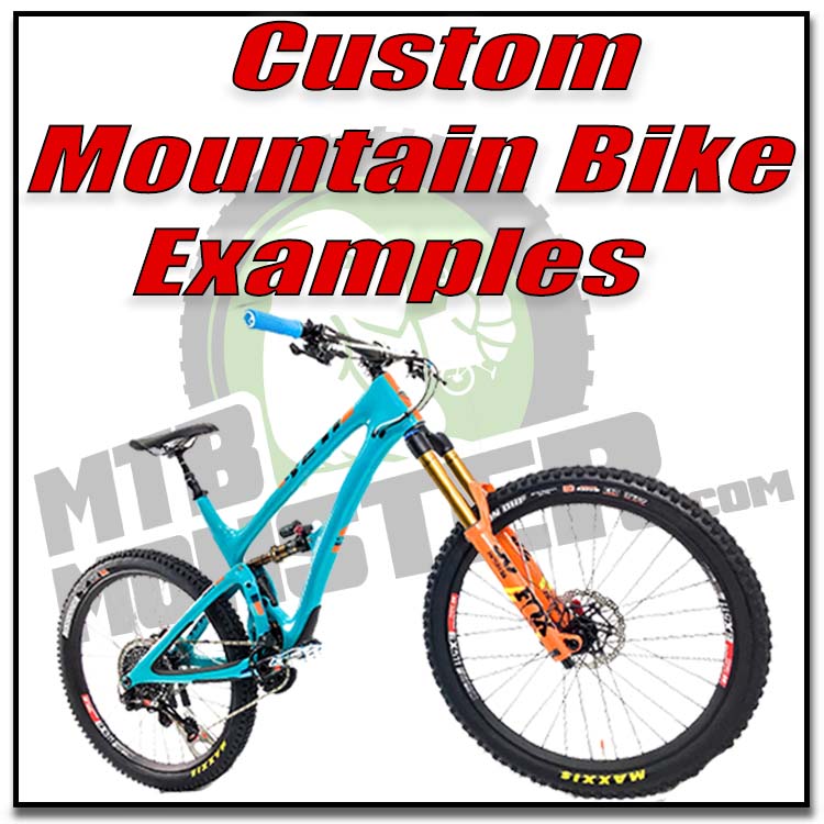 Custom Mountain Bike Examples Custom Mountain Bike Examples