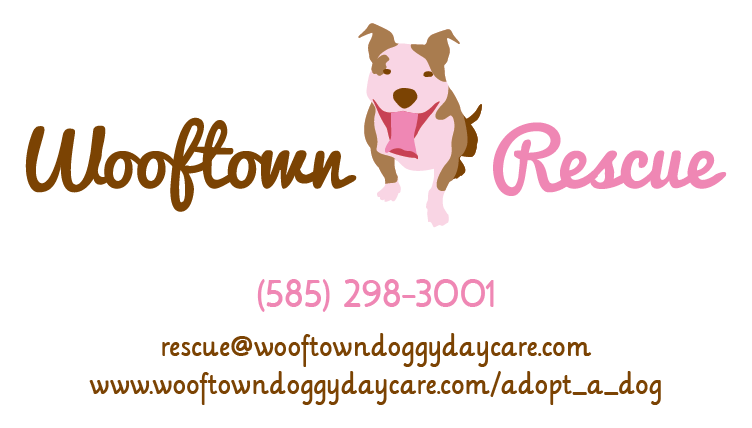 wolftown-rescue.png