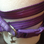 Heiligo High Fashion Dog Collar & Leash