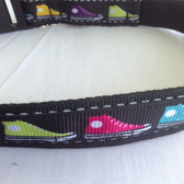 SNEAKER Designer Dog Collar. 12"-18". 58# Leash Available.