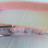 Pink Leaves Dog Collar 11"-16"