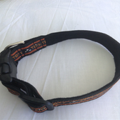 TRICK OR TREAT Designer Dog Collar 11"-15"