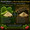 Side-by-side comparison of freeze-dried nopal with heat- or sun-dried cactus, highlighting freshness, nutrient preservation, and whole-food integrity