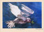 Dove of Peace - Card