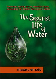 Secret Life of Water - Paperback