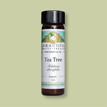 Tea Tree Essential Oil (Australian) - 1/2 oz.