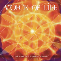 Voice of Life - David Ari Leon CD