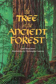 The Tree in the Ancient Forest - Paperback