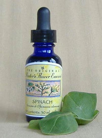Flower Essence - Spinach