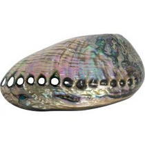 Abalone Shell (Large)