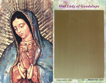 Lady of Guadalupe Fridge Magnet