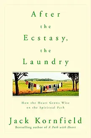 After the Ecstasy, the Laundry