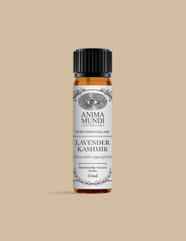 Lavender Kashmir Essential Oil