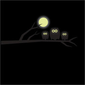 Glow in the Dark Owl and Moon Wall Sticker 5086-0026