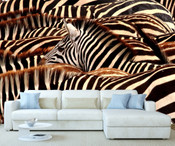 African Safari Zebra Wall Mural
