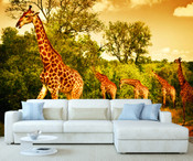 African Safari Giraffe Wall Mural