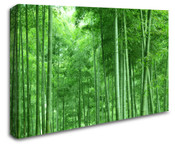 Tall Bamboo Forest Trees Wall Art Canvas 8998-1015