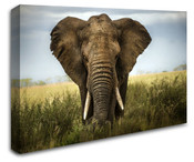 Africa Safari Elephant Wall Art Canvas 8998-1108