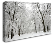 Winter Forest Trees Wall Art Canvas 8998-1028