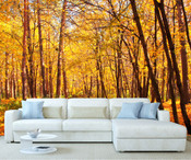 Autumn Forest Tree Wall Mural