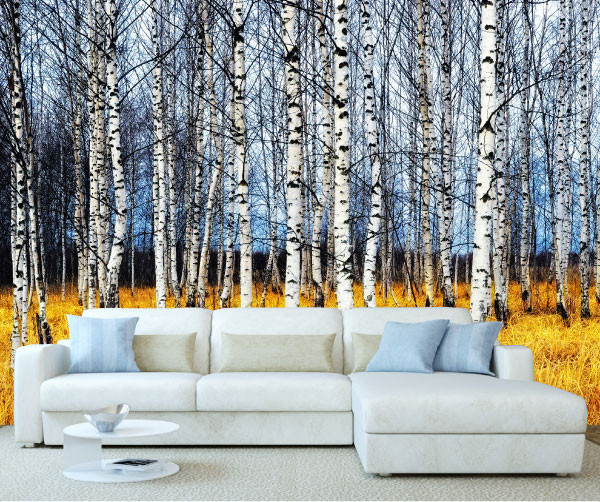 Autumn Forest Birch Tree Wall Mural 2 - Stickers Wall