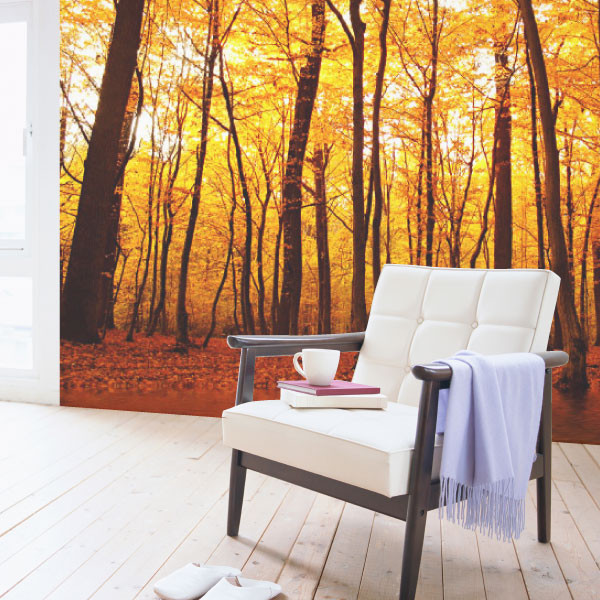 Autumn Forest Tree Wall Mural 3 Stickers Wall