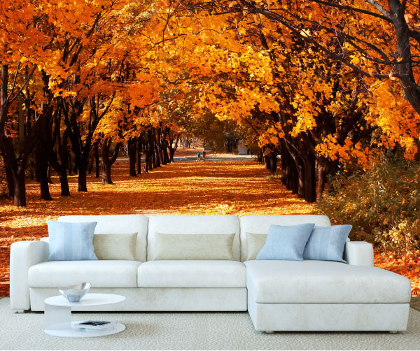 Autumn Forest Tree Wall Mural 4 Stickers Wall