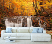 Autumn Forest Tree Wall Mural 5