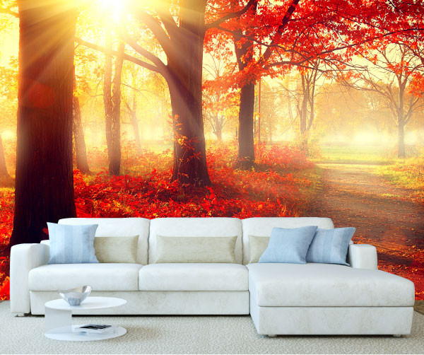 Autumn Forest Tree Wall Mural 6 Stickers Wall