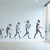 darwin evolution of man wall sticker