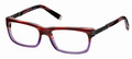 D Squared 5010 Eyeglasses 65A Horn Bordeaux Violet Gunmtl