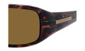 Carrera CONTROL/S Sunglasses ETAPVW Tort (5816)