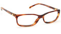 TIFFANY TF 2036 Eyeglasses 8116 Striped Havana 54-15-135