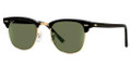 Ray Ban RB 3016 Sunglasses W0365 Ebony Arista 51-21-145