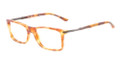 GIORGIO ARMANI AR 7005F Eyeglasses 5025 Blonde Havana 54-17-145