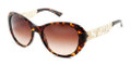Dolce & Gabbana DG 4213 Sunglasses 502/13 Havana 55-19-140