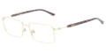GIORGIO ARMANI AR 5019T Eyeglasses 3002 Pale Gold 53-17-140