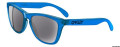 Oakley Frogskins 9013 Sunglasses 24-250 Acid Blue